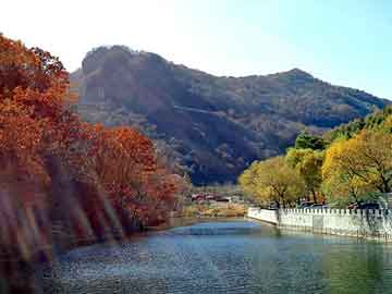 新澳天天开奖资料大全旅游团，重生都市